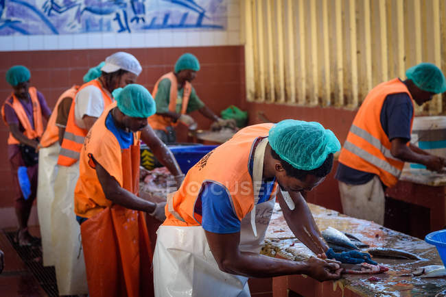 Кабо-Верде, Сао-Висенте, Миндело, люди, работающие на рыбном рынке Минделу . — стоковое фото