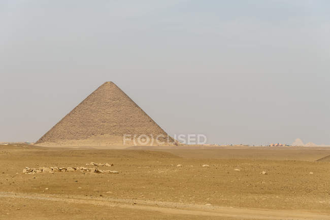 Egipto, Giza Gouvernement, Dahshur, La pirámide roja, la primera pirámide egipcia pura - foto de stock