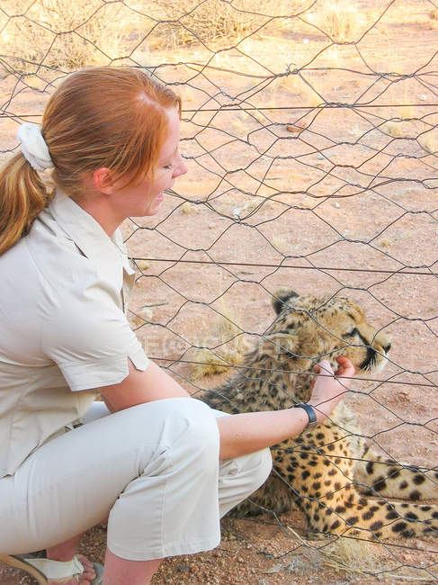 Red-haired woman stroking cheetah in nature reserve, Hardap, Namibia, Africa — Stock Photo