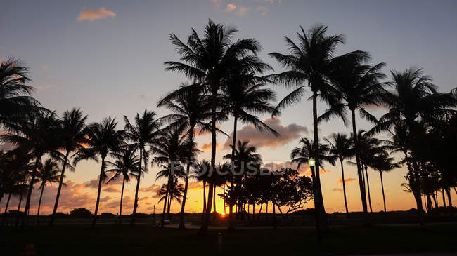 США, штат Флорида, Майамі, мальовничий вид на захід сонця в Майамі — стокове фото