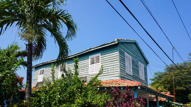 Куба, Матансас, Варадеро, Дерево пальми перед дерев'яного будинку — стокове фото