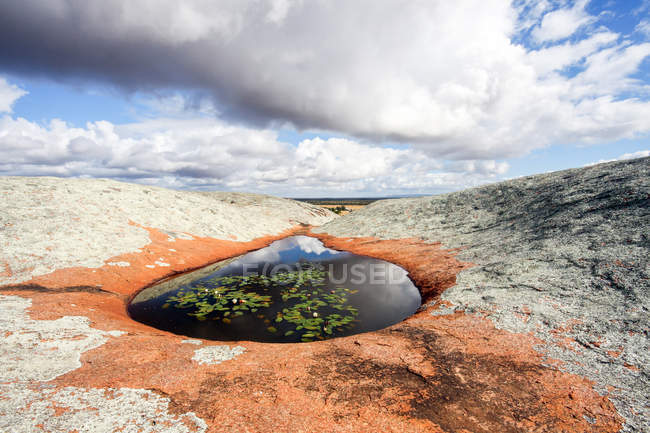 Australia, South Australia, Minnipa, small pond embedded in island mountain, rock reddish / white, water lilies on pond — Stock Photo