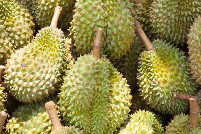 Pile of durian fruit in bright sunlight, kep crabs market — Stock Photo