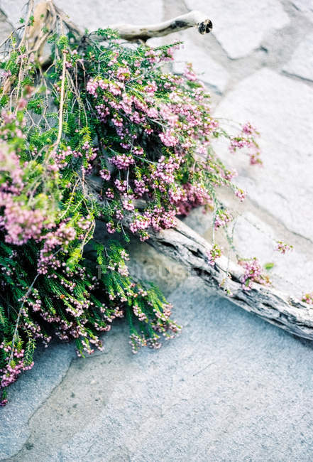 Griechenland, makedonia thraki, potamia, Blumenstrauß auf Steinboden — Stockfoto