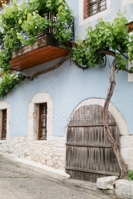 Greece, Makedonia Thraki, Theologos, wine on house wall — Stock Photo