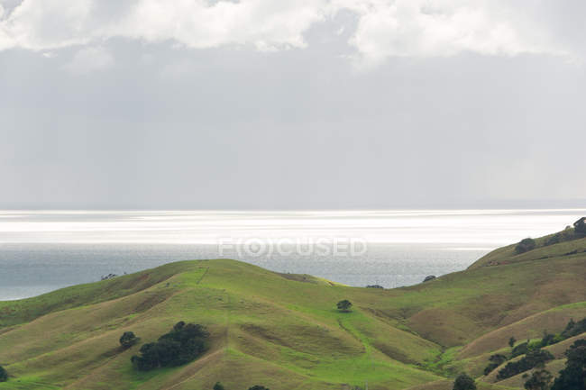 Nova Zelândia, Waikato, Manaia, Paisagem costeira com céu nublado sobre colinas verdes — Fotografia de Stock