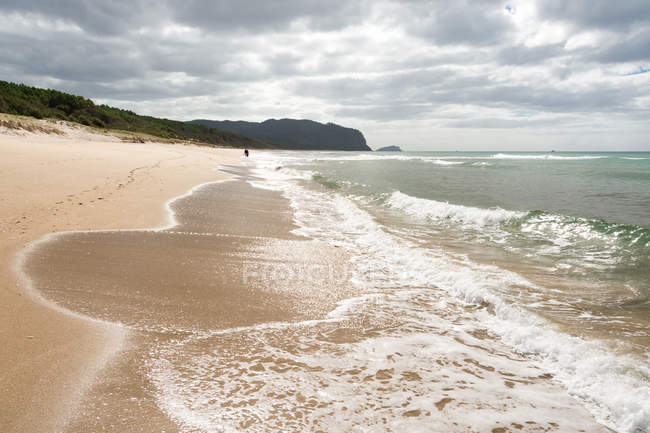 Nouvelle-Zélande, Waikato, Opoutere, empreintes de pas sur la plage solitaire, Opoutere Beach — Photo de stock