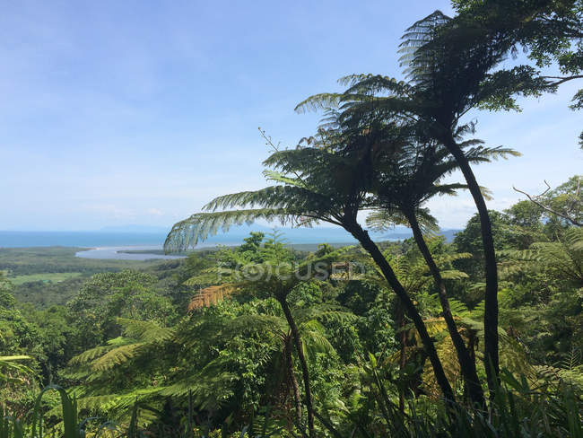 Australia, Queensland, Cape Tribulation, vista dall'alto sul Daintree National Park, foresta e paesaggio marino sullo sfondo — Foto stock