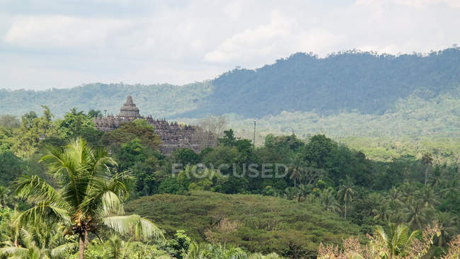 Indonesia, Jawa Tengah, Magelang, Tempio di Borobudur tra le foreste — Foto stock