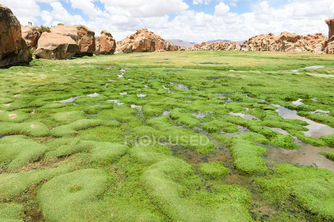 Bolívia, Departamento de Potos, Nor Lopez, Oásis Verde na Bolívia — Fotografia de Stock