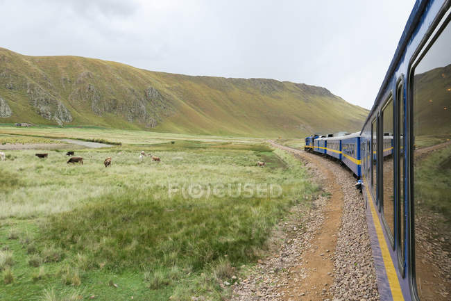 Pérou, Qosqo, Qanchi pruwinsya, à travers les Andes de Puno à Cusco avec le train Explorateur andin — Photo de stock