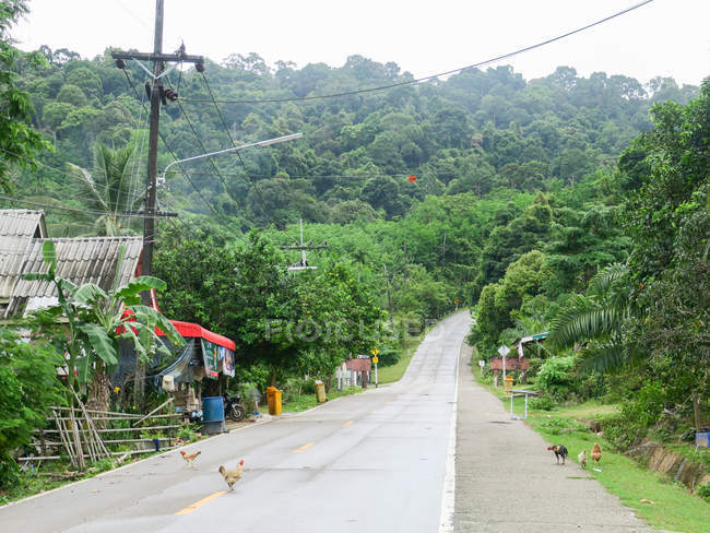 Thaïlande, Chang Wat Phang-nga, Tambon Khuekkhak, route à travers le village Talaenok et paysage naturel vert — Photo de stock