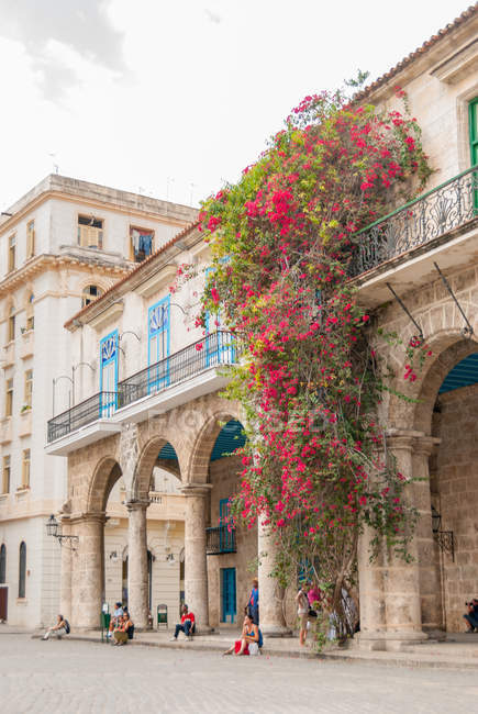 Cuba, L'Avana, edificio con fiori in piazza, Plaza del la Catedral, accanto alla Cattedrale della Vergine Maria — Foto stock