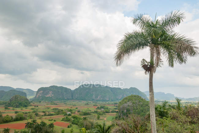 Cuba, Pinar del Rio, Vinales, vista do Hotel Los Jazmines para o Vale de Vinales — Fotografia de Stock