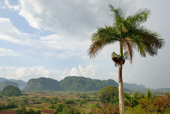 Cuba, Pinar del Rio, Vinales, vista dall'Hotel Los Jazmines alla Val di Vinales — Foto stock