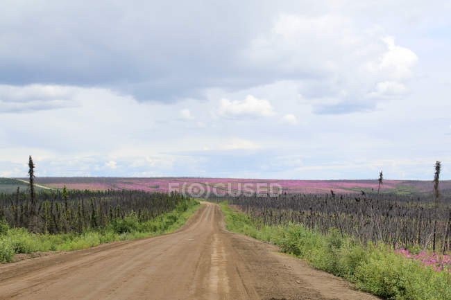 Canada, Yukon Territory, Yukon, Dampster Highway Judging North — Stock Photo