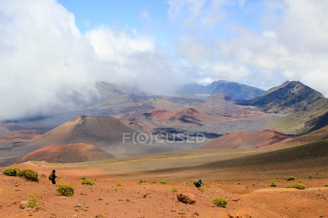 USA, Hawaï, Kula, Paysage désertique en pierre — Photo de stock