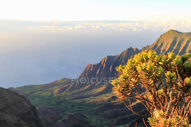 États-Unis, Hawaï, Kapaa, Vue aérienne de la vallée de Kalalau, début du Jurassic Park — Photo de stock