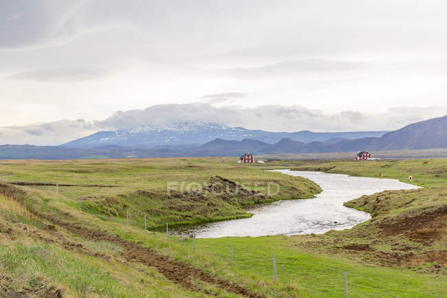 Исландия, живописный зеленый природный ландшафт с рекой и домами — стоковое фото