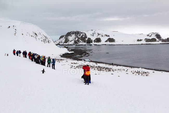 Antártica, Grupo de pessoas assistindo pinguins rebanho na baía gelada — Fotografia de Stock