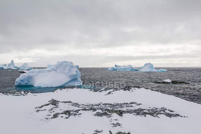 Vista panoramica degli iceberg in acqua Antartide — Foto stock