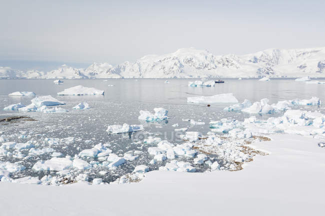 Antártida, vista del barco de expedición entre los glaciares - foto de stock
