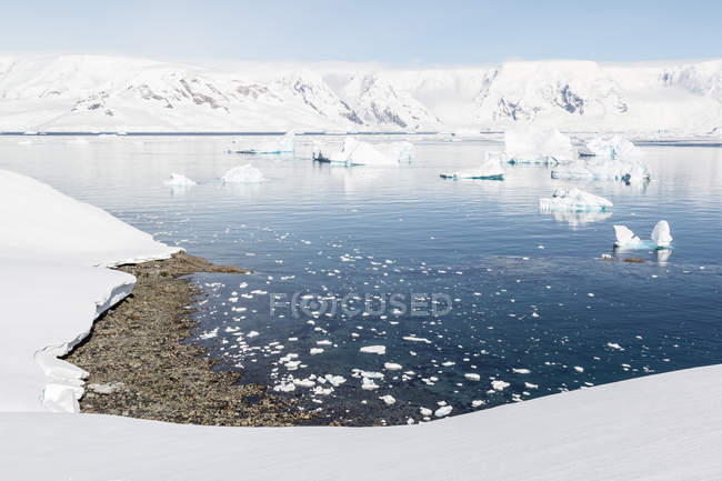 Antarktis, landtour auf dem kontinent antarktis, malerische kalte landschaft mit meer — Stockfoto