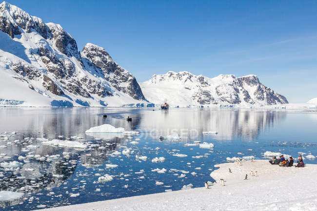 Salita in vetta più a sud e riposo dei pinguini sul ghiaccio, Antartide — Foto stock