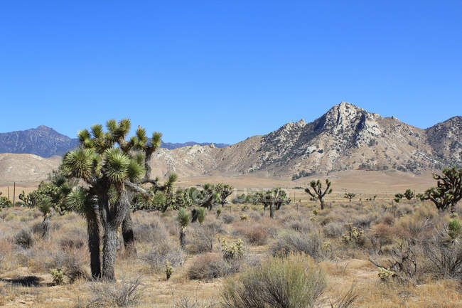 Stati Uniti, California, Contea di Inyo, Veduta sulla Valle della Morte — Foto stock