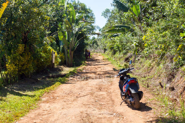 Скутер на пустой сельской дороге через джунгли, Мадагаскар — стоковое фото
