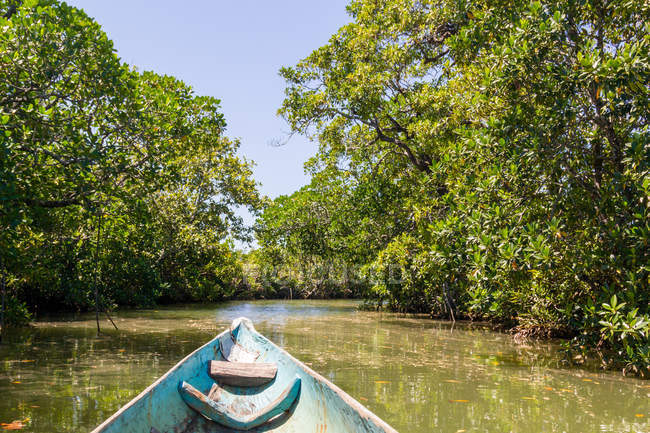 Vista de canoa em florestas de rios e manguezais, Madagáscar — Fotografia de Stock