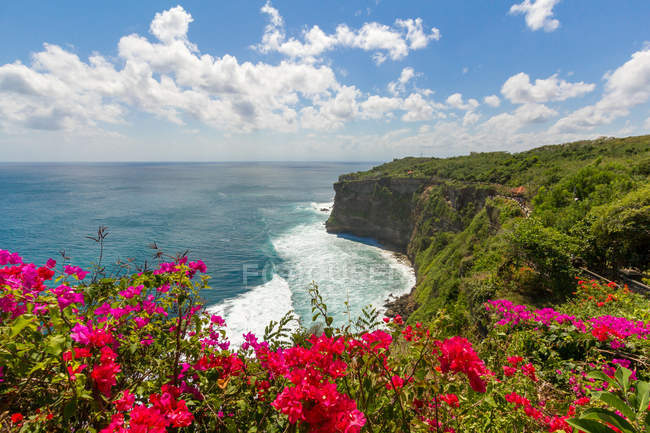Indonesia, Bali, cliff of Bali Uluwatu Temple, red flowers on foreground — Stock Photo