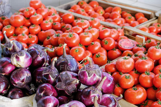 Primer plano de tomates en cajas en el mercado callejero, Uzbekistán - foto de stock