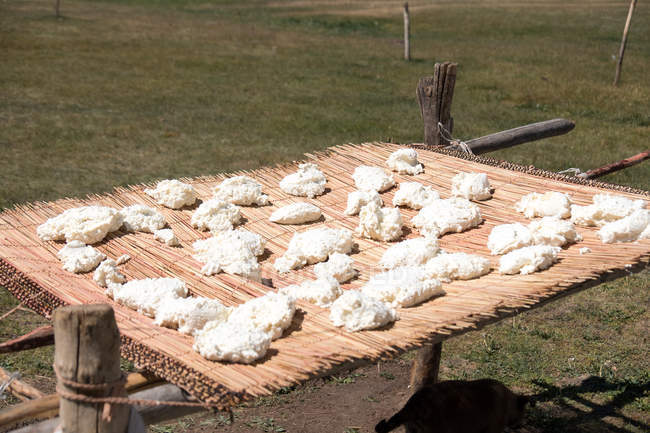 Kirghizistan, regione di Naryn, distretto di Kochkor, produzione di Kurut — Foto stock