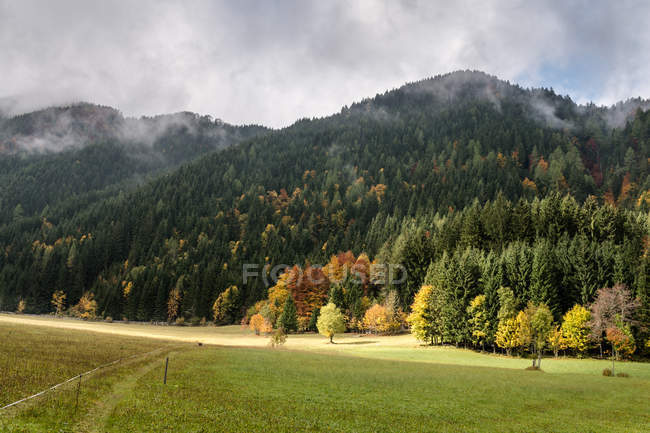 Austria, Carinthia, Ferlach, Bodental, autumnal forest landscape with meadow and mountains — Stock Photo