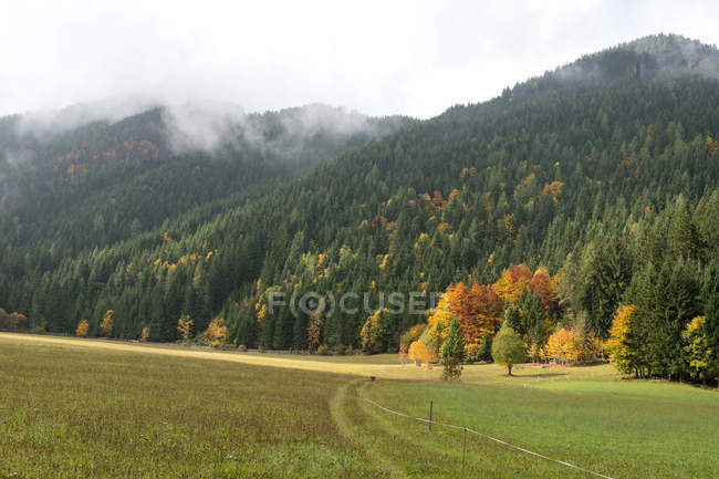 Austria, Carintia, Ferlach, Bodental en otoño, vista panorámica del bosque - foto de stock