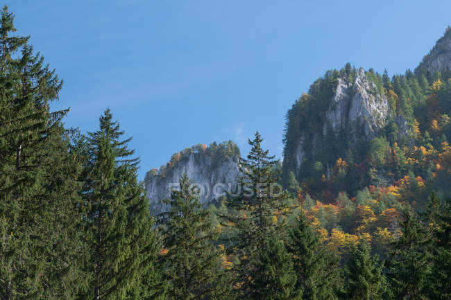Австрия, Каринтия, Ференц, Живописный вид Боденталя осенью — стоковое фото