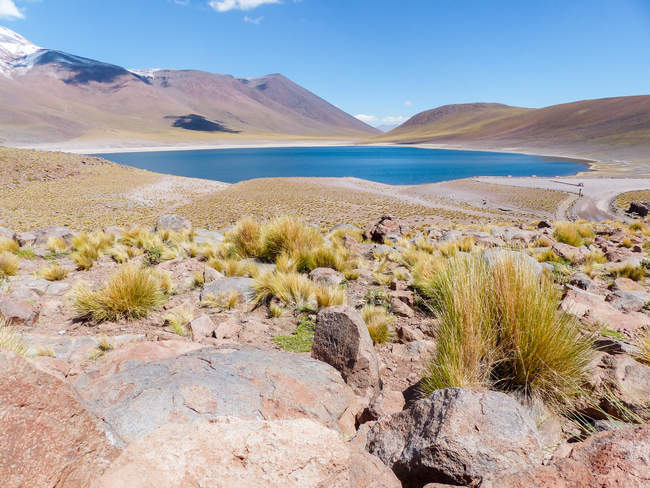 Chile, Región de Antofagasta, El Loa, Laguna Miniques, con vista a laguna, rocas y gramíneas - foto de stock