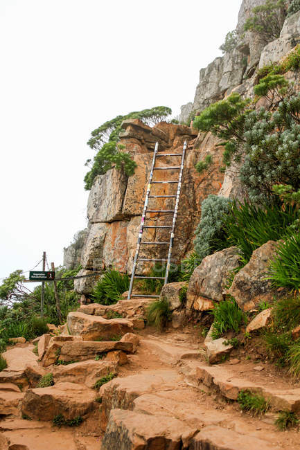 Scala in metallo per arrampicare in montagna, Sud Africa, Western Cape, Città del Capo — Foto stock