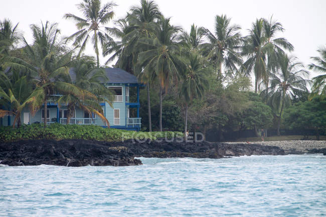 Estados Unidos, Hawai, Capitán Cook, casa entre palmeras en Kohala - foto de stock