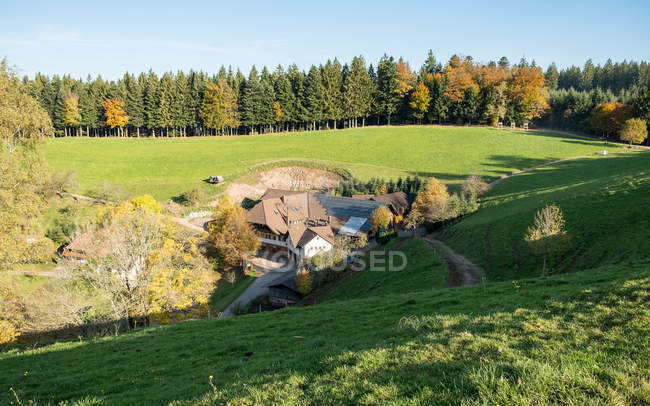 Германия, Обервольфах, дом за домом и лес — стоковое фото