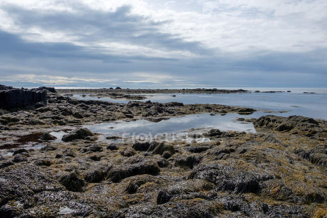 Costa rochosa e céu nublado, Ytri Tunga Ytri Tunga, Islândia — Fotografia de Stock