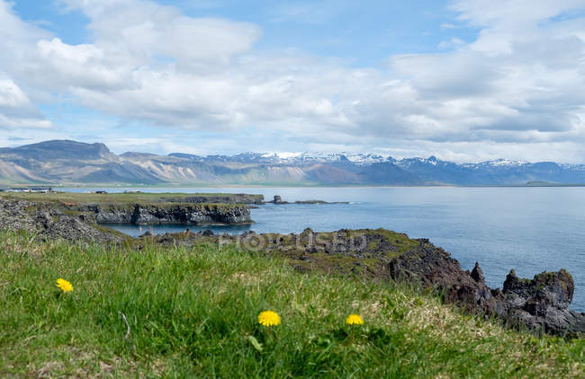 Paisagem costeira com grama verde e céu azul nublado, iceland — Fotografia de Stock