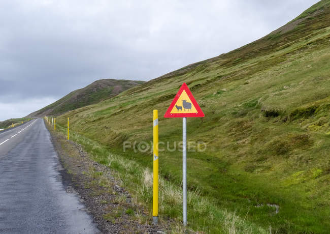 Segno di avvertimento per gli animali della specie ovina su strada, Islanda — Foto stock