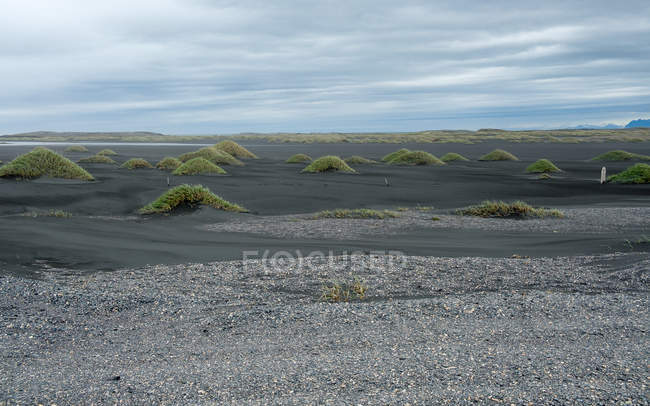 Черные песчаные дюны, Исландия, Свайтар Флаги Хорнафьордрур — стоковое фото