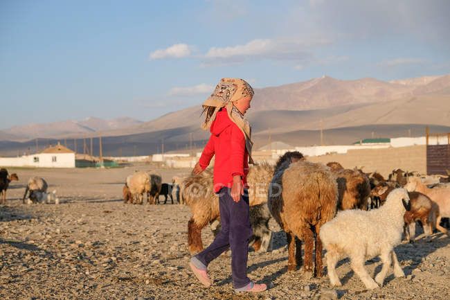 Tadjikistan, bergère le soir où les moutons reviennent au village Alichur — Photo de stock