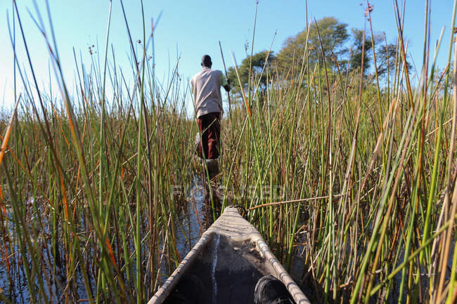 Botswana, Delta de l'Okavango, Mokoro balade à travers le roseau haut, un Mokoro est un bateau creusé de quatre mètres de long — Photo de stock