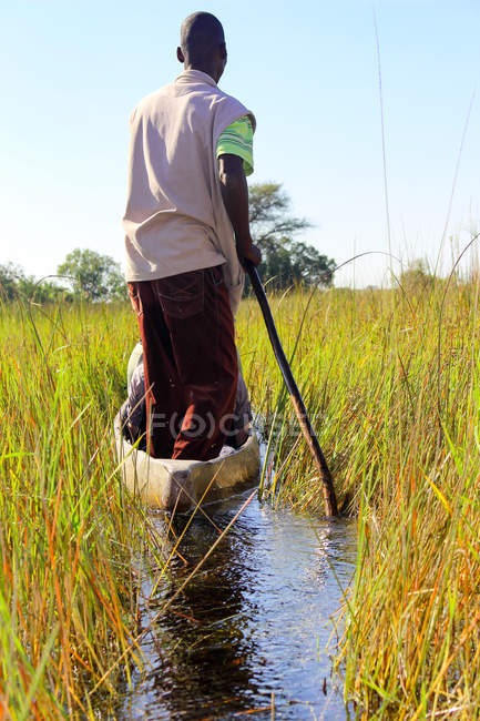 Botswana, Okavango-Delta, Mann schwimmt durch hohes Schilf — Stockfoto