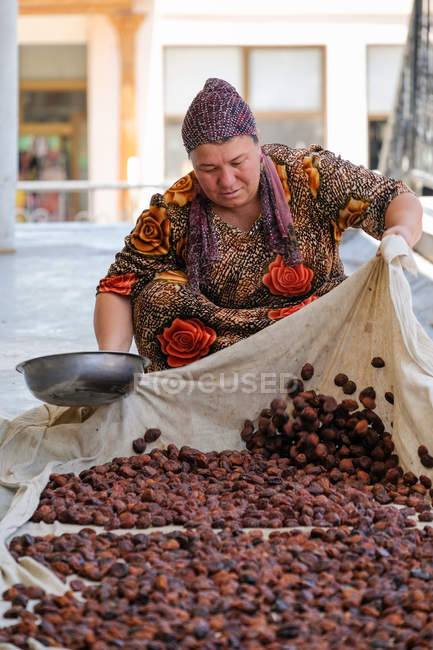 Mujer adulta desplegando frutas para secar, Uzbekistán - foto de stock