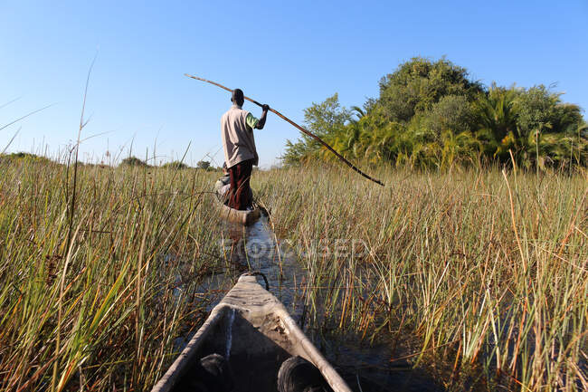 Ботсвана, дельта Окаванго, сафари на диких догах, утро, человек в лодке на рыбалке — стоковое фото